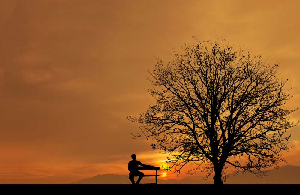 Person sitting at twilight under a tree to represent the trees you will plant for the future