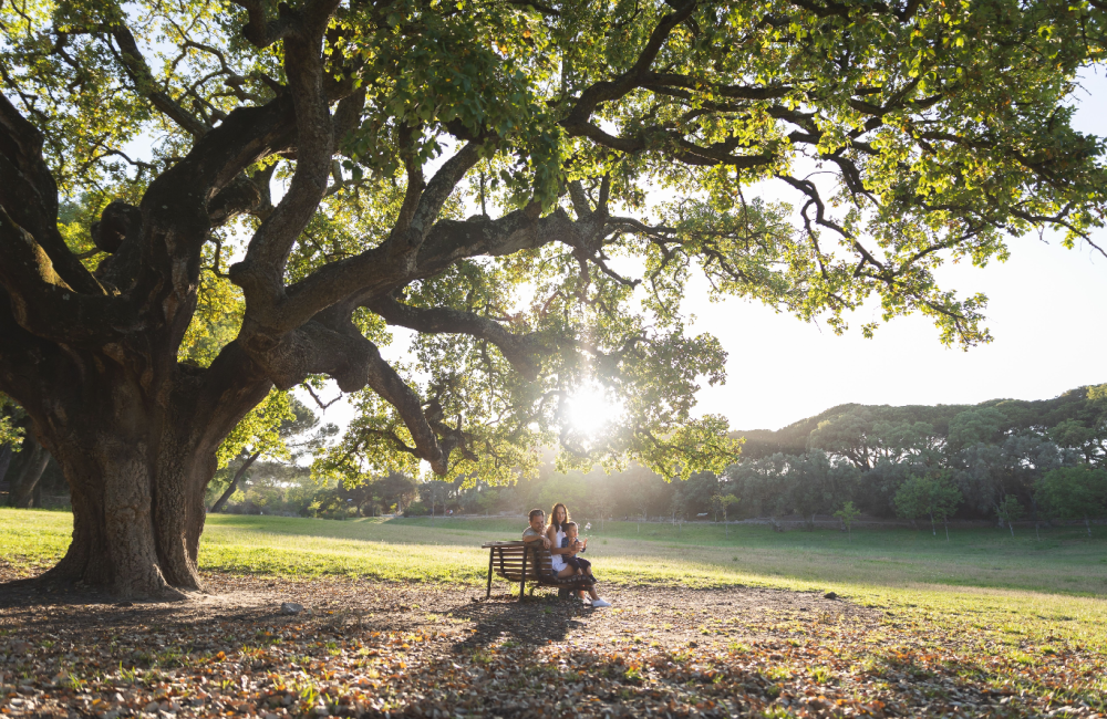 Young family sitting under tree to illustrate the idea of the trees you will plant and the future you will create